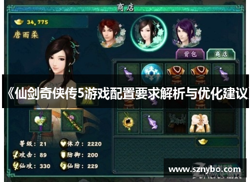 《仙剑奇侠传5游戏配置要求解析与优化建议》